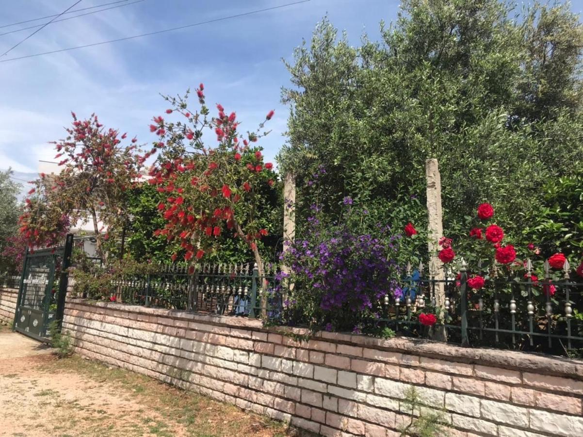 Vita Apartment - Spacious Garden And Balcony 5 Min To Beach & Center Εξαμίλιο Εξωτερικό φωτογραφία