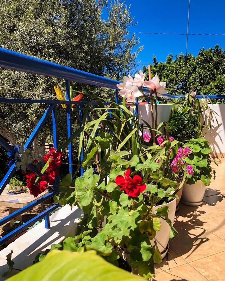 Vita Apartment - Spacious Garden And Balcony 5 Min To Beach & Center Εξαμίλιο Εξωτερικό φωτογραφία