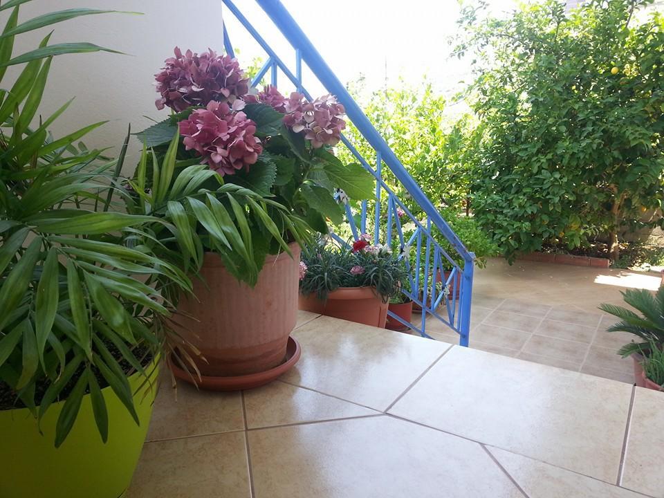 Vita Apartment - Spacious Garden And Balcony 5 Min To Beach & Center Εξαμίλιο Εξωτερικό φωτογραφία